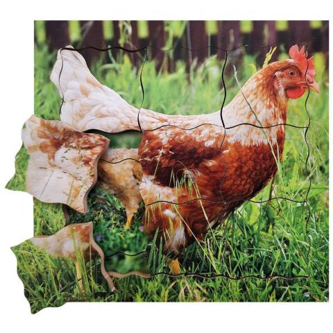 Cyklus - vývoj života slepice (puzzle 19 dílů)